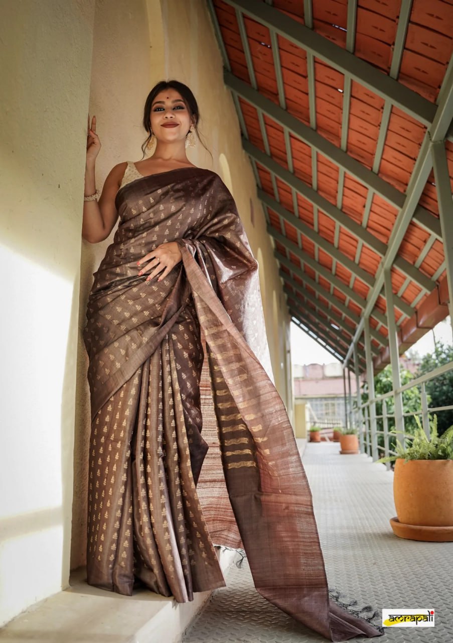 New Trendy Brown Color Soft Silk Saree With Blouse Piece